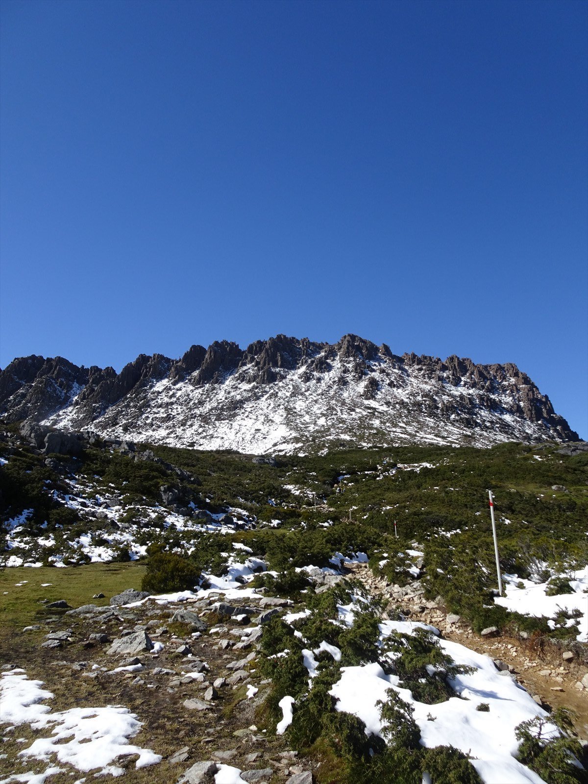 c0337813_16150646.jpg
