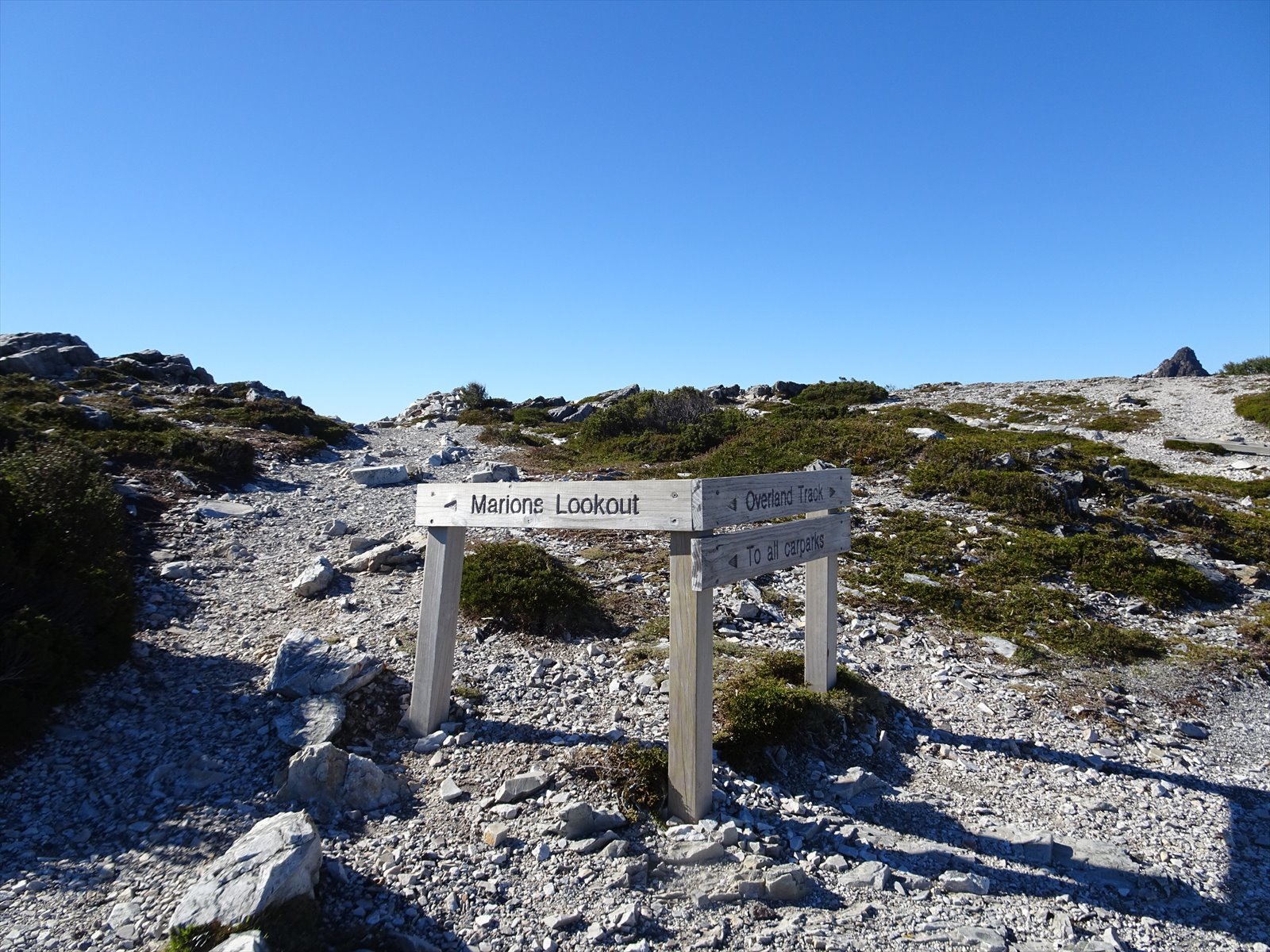 c0337813_16154177.jpg
