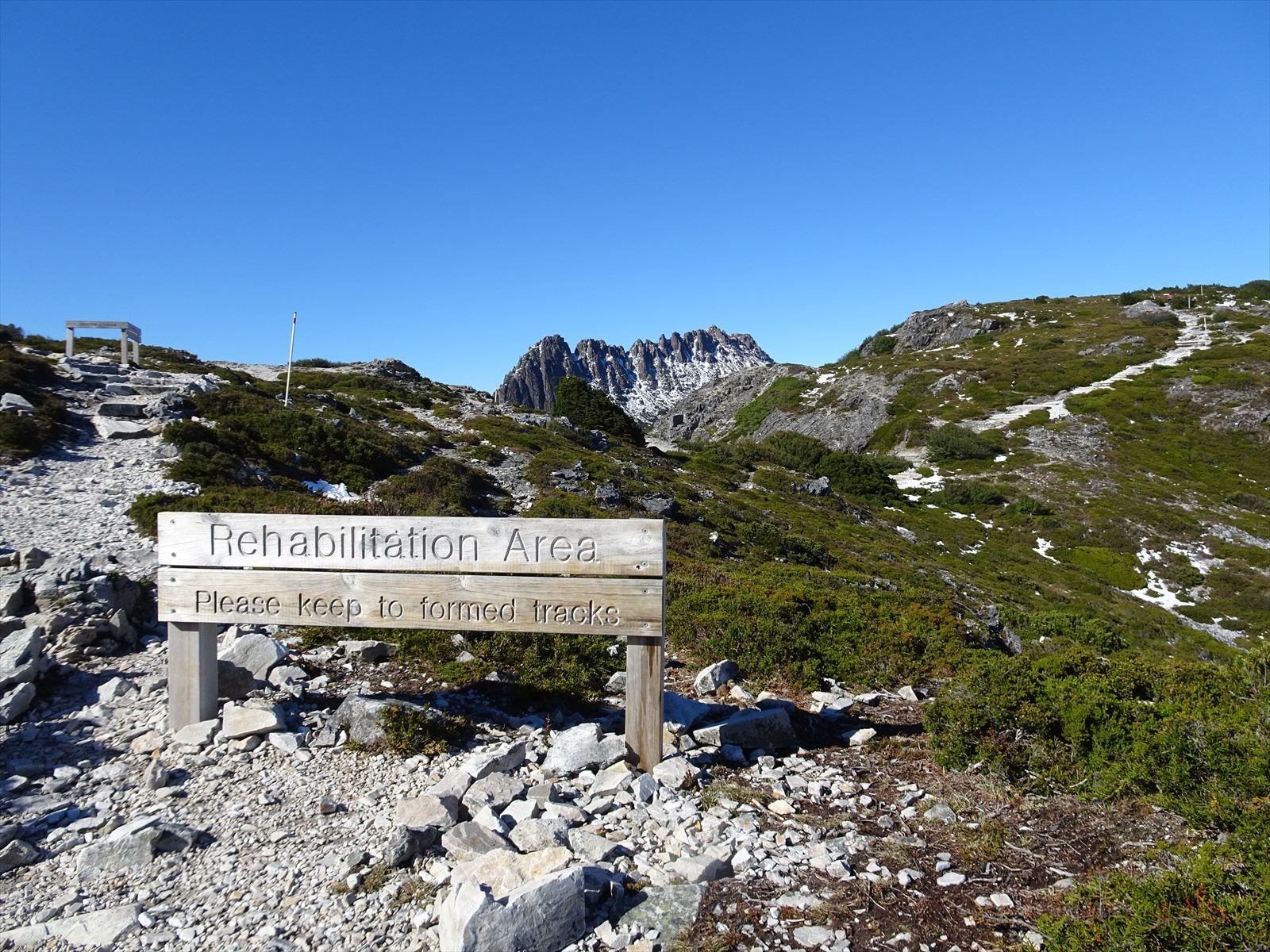 c0337813_16154387.jpg