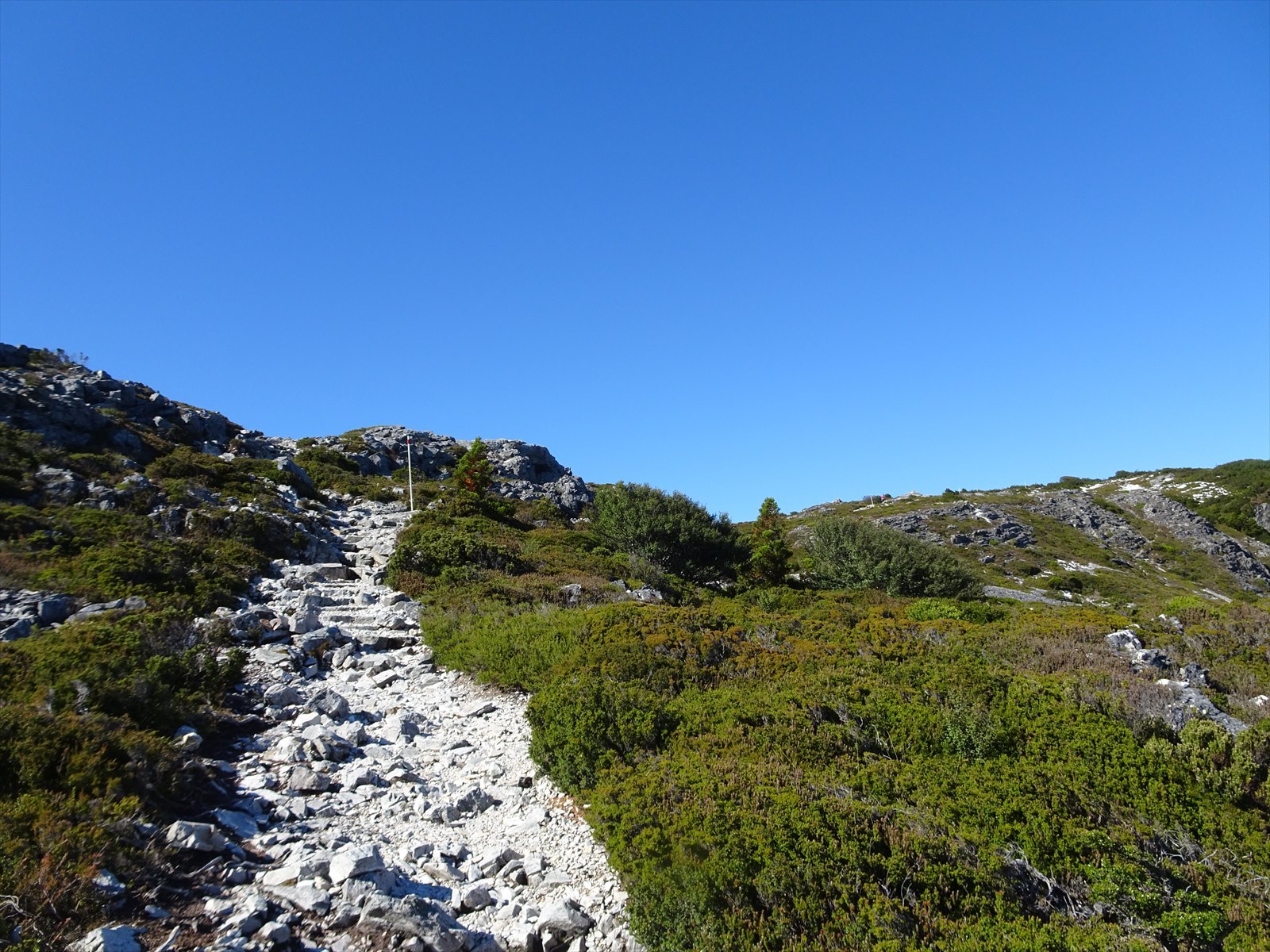 c0337813_16154844.jpg