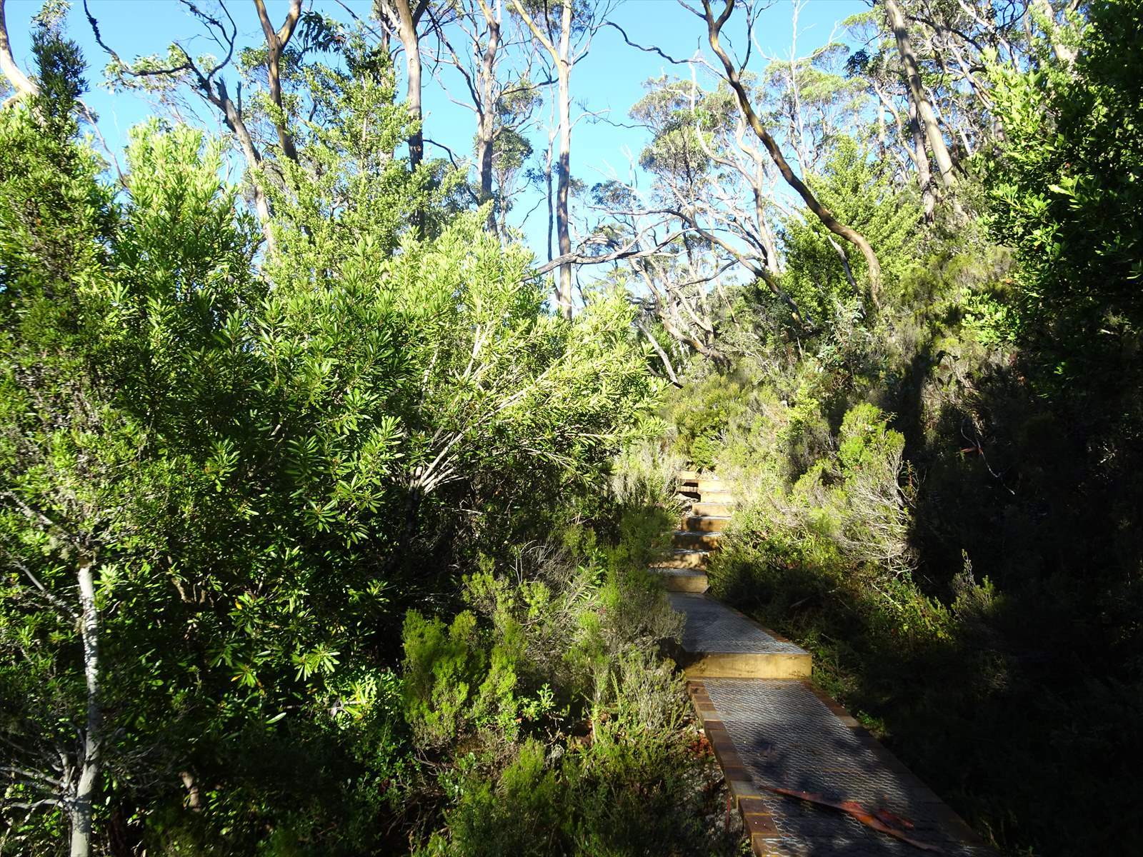 c0337813_16174358.jpg