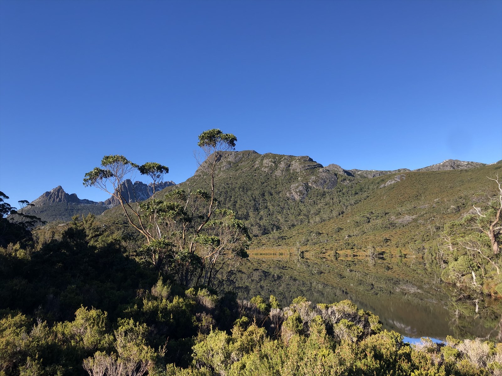 c0337813_16174515.jpg