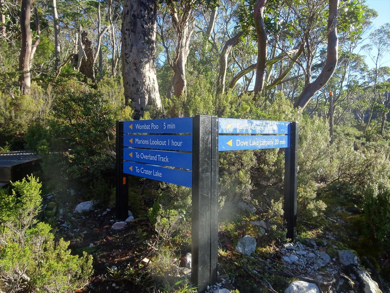 c0337813_16175027.jpg