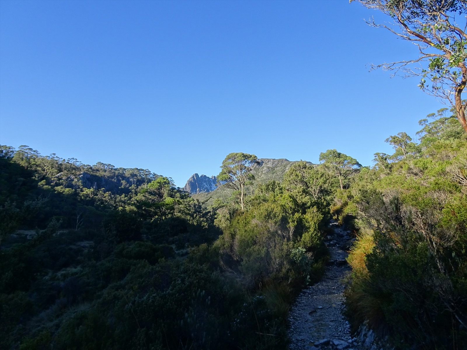 c0337813_16184435.jpg