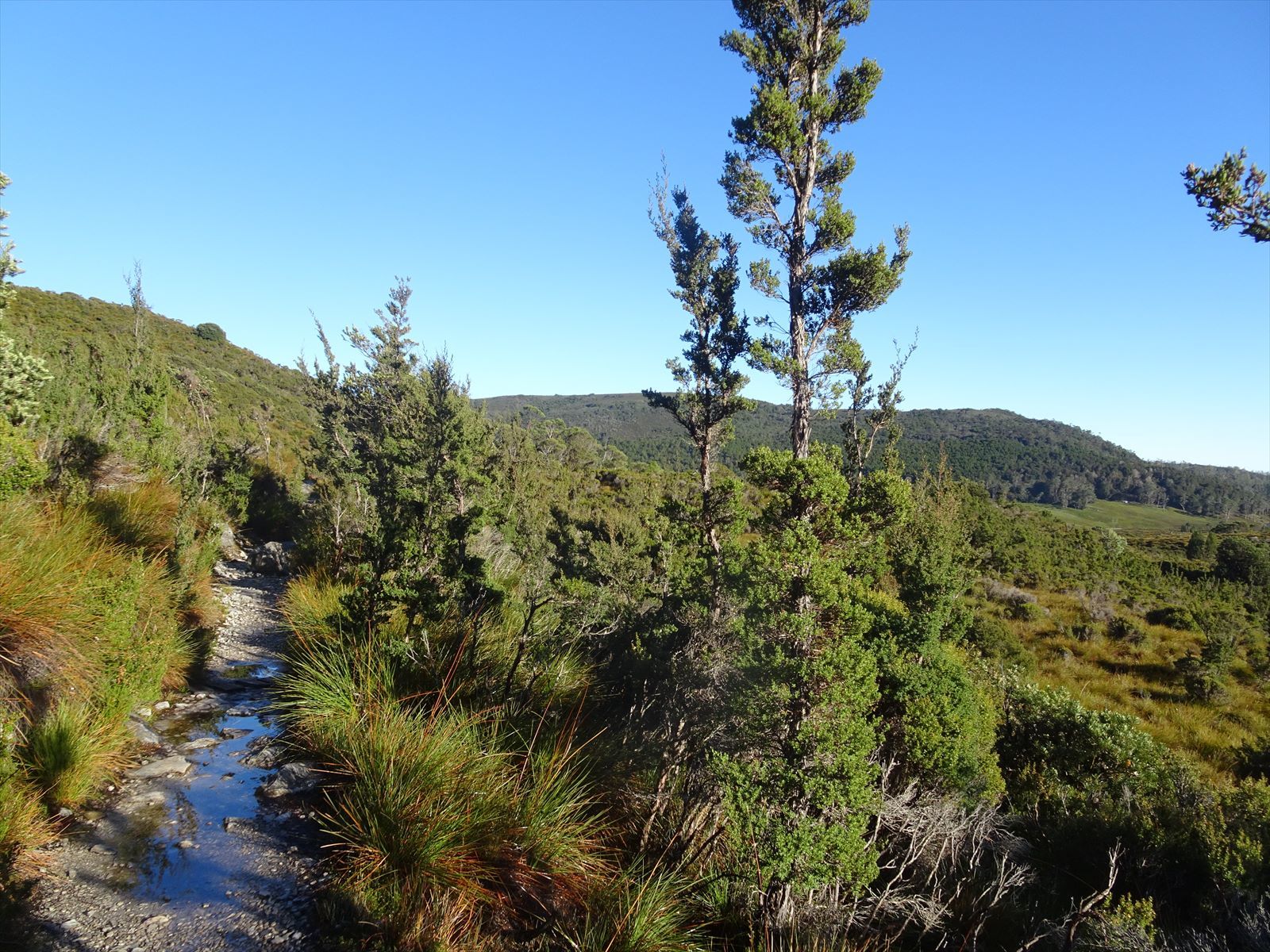 c0337813_16184655.jpg