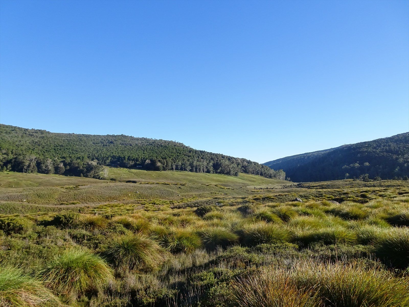 c0337813_16190004.jpg