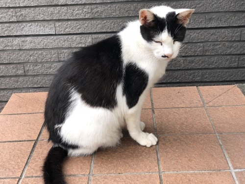 入学式_d0184114_20154712.jpeg