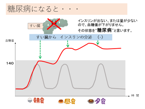 血糖値とインスリンの関係を図で説明_d0122515_09131183.png