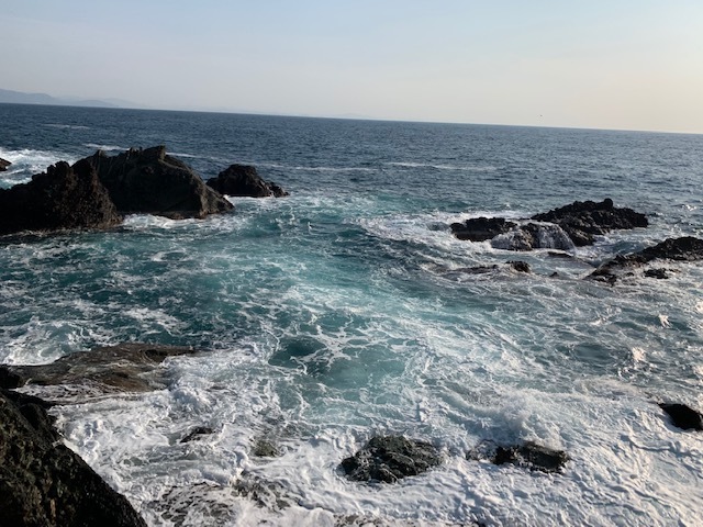 d0070216_16555681.jpeg