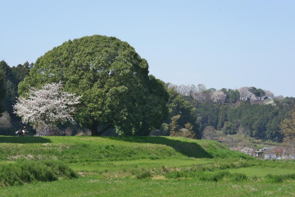 　明日香・岡寺_b0408917_18561190.jpg