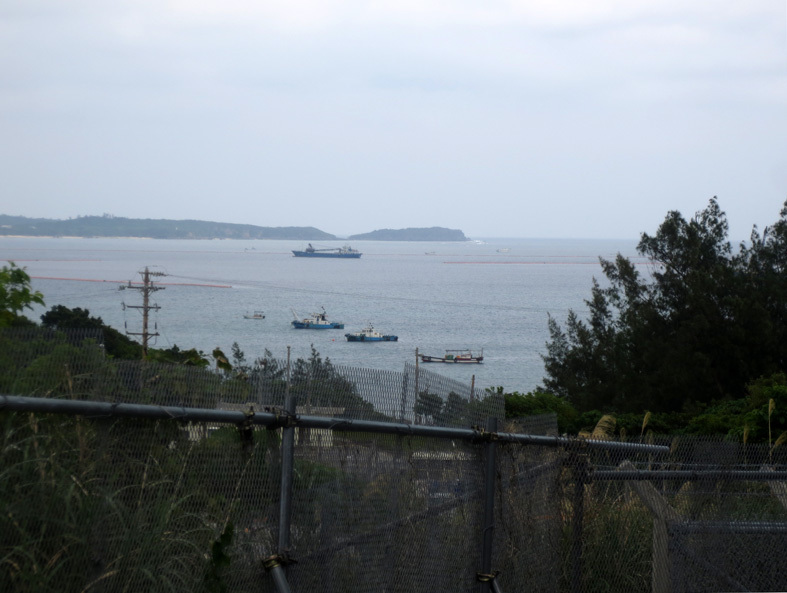 ■辺野古海岸で宝貝を探す――沖縄米軍基地ツアー_d0190217_23110948.jpg