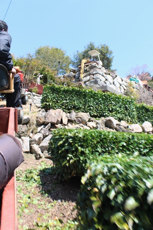 天龍村へ_b0220318_00491939.jpg