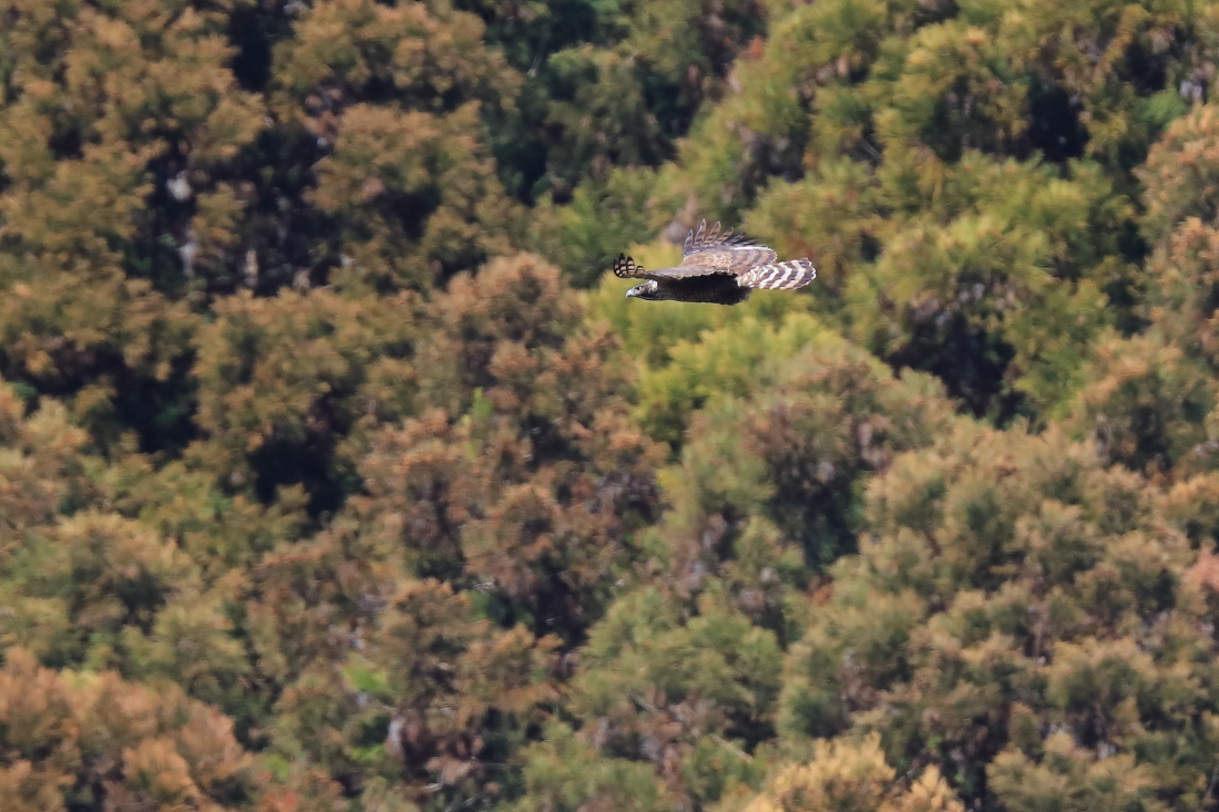 f0288418_19463431.jpg