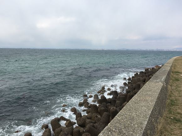 アニたんと、淡路島日帰りツアー・・・③_c0114121_00054735.jpg