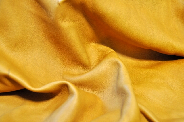f0032021_16365612.jpg