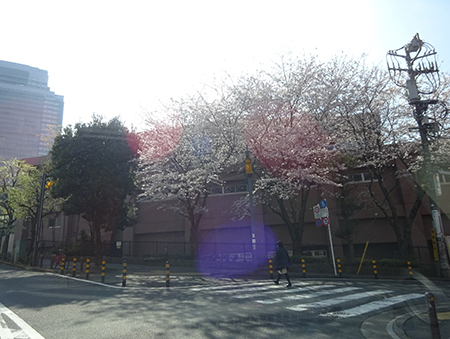 f0097523_14291508.jpg