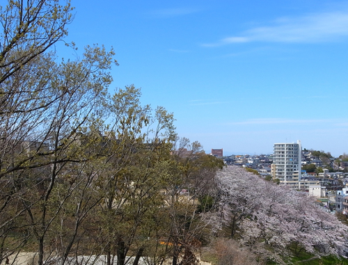 今日目覚めたジャコをご紹介_b0212226_20010726.jpg