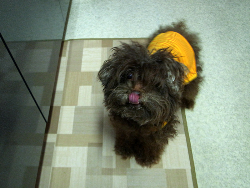 今日目覚めたジャコをご紹介_b0212226_20130364.jpg