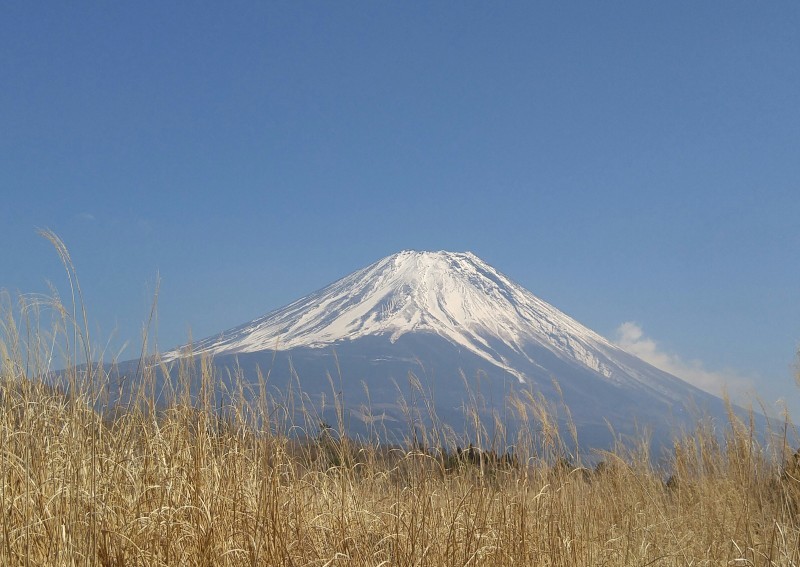 f0361132_13401727.jpg