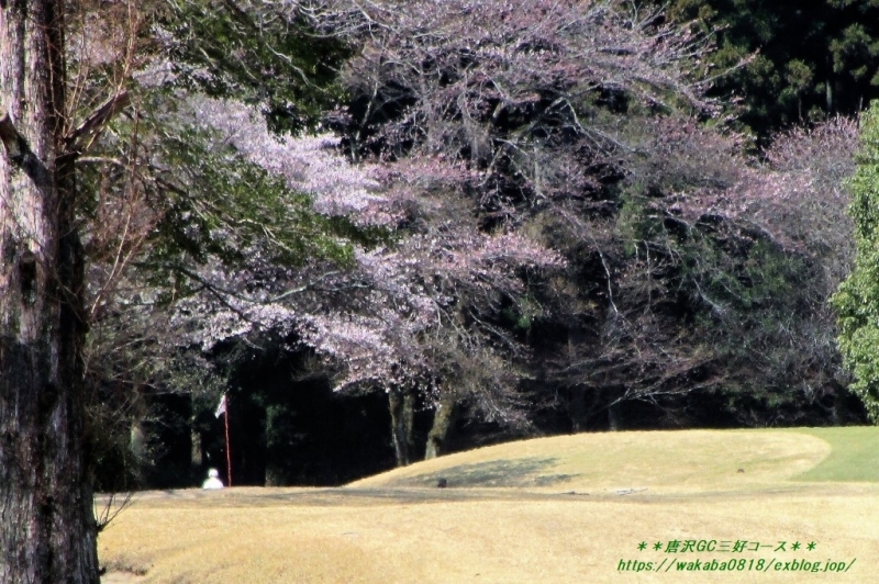 e0052135_14200764.jpg