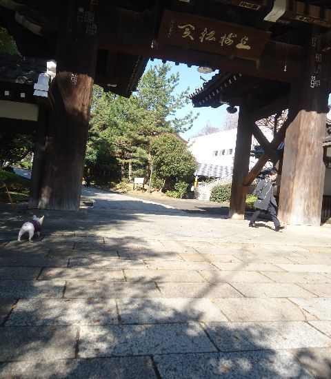 d0380237_05291259.jpg