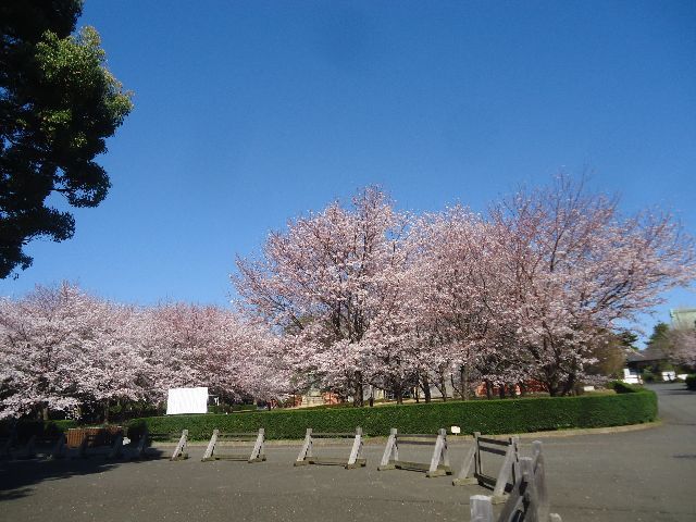 d0380237_05582743.jpg
