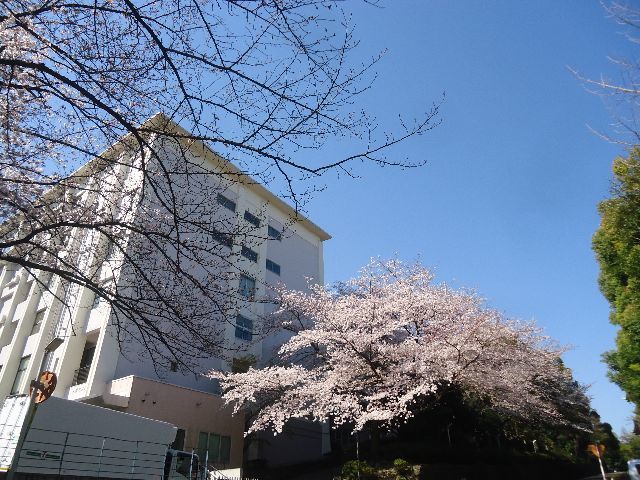 d0380237_06060420.jpg