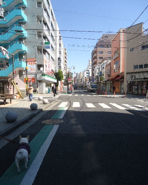 d0380237_06112912.jpg