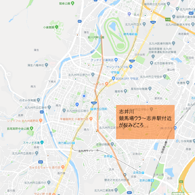 小倉南区の桜の観光スポット 小春日和 改