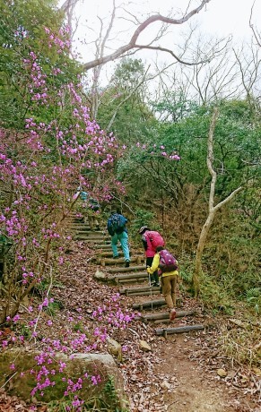 お花見ハイク 甲山~甲山森林公園_c0218841_21470348.jpg