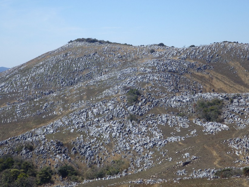 e0164643_14573092.jpg