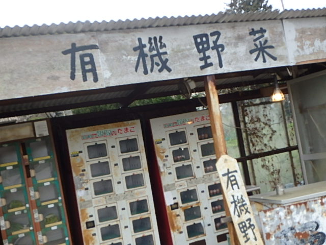 f0334143_12151754.jpg