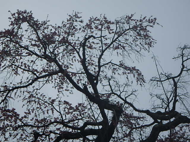 f0334143_12205948.jpg