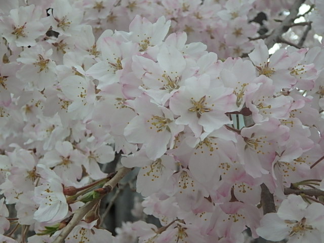 f0334143_12221839.jpg