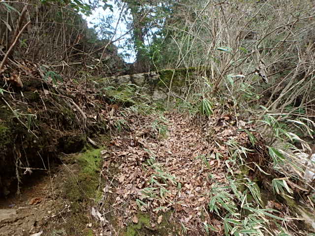 f0334143_1223639.jpg