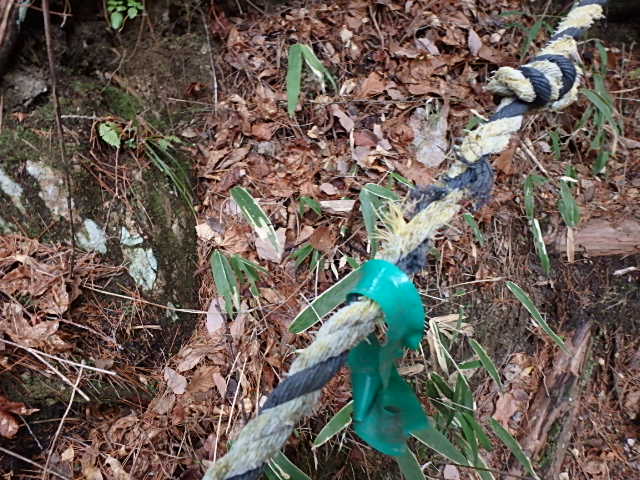f0334143_1241583.jpg