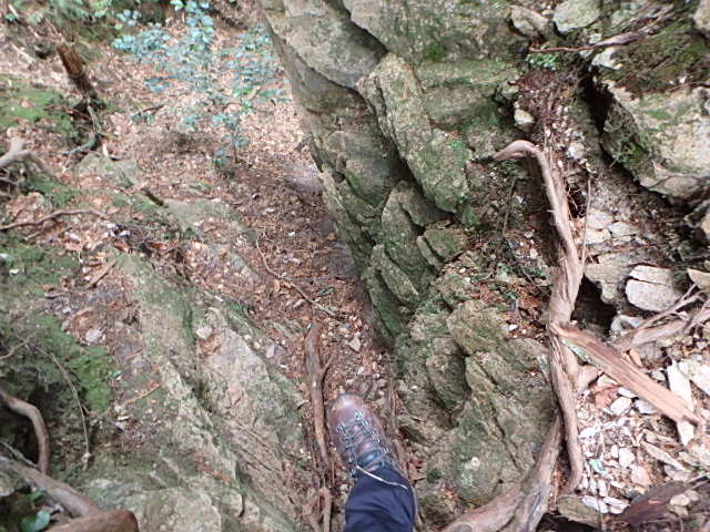 f0334143_1251719.jpg