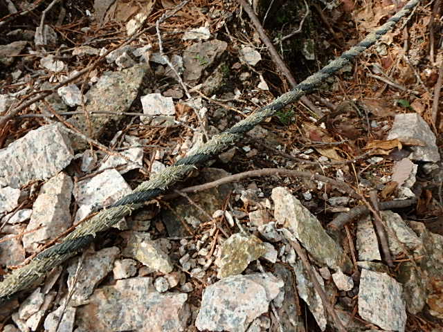 f0334143_1255296.jpg