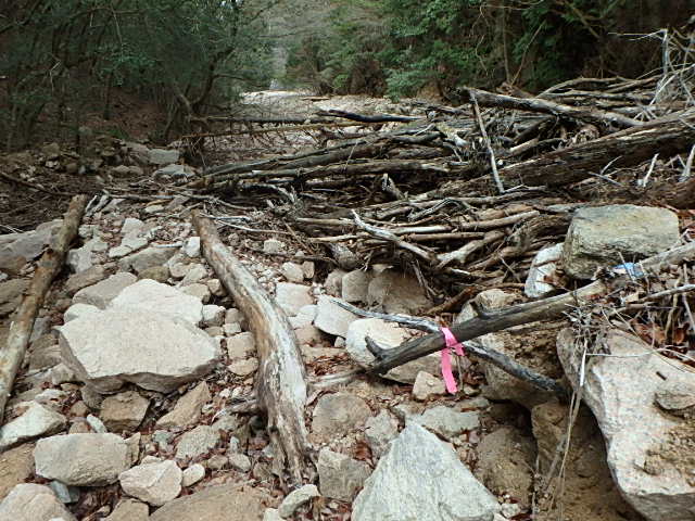f0334143_1282658.jpg