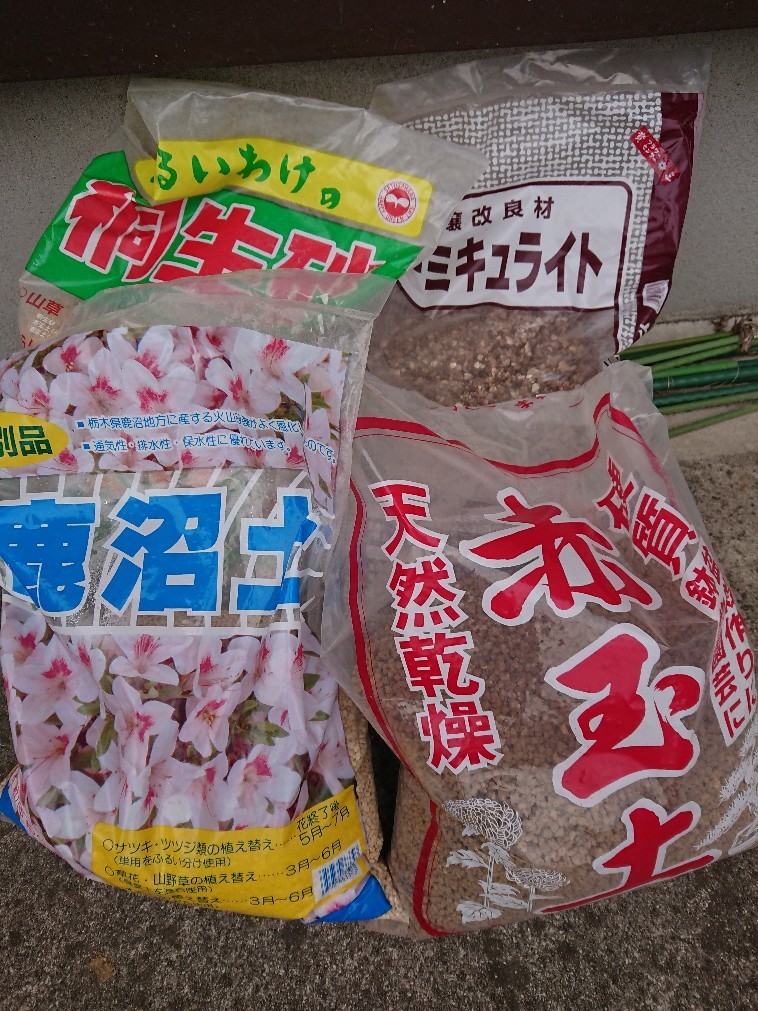 自分流アグラオネマ育成法 用土編 癒やしの素 イモからアクアまで 自分流アグラオネマ育成法 用土編 癒やしの素 イモからアクアまで