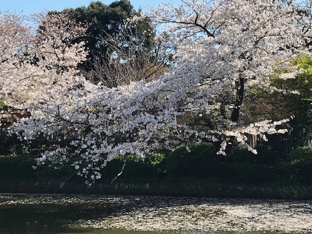 c0343447_20331745.jpg