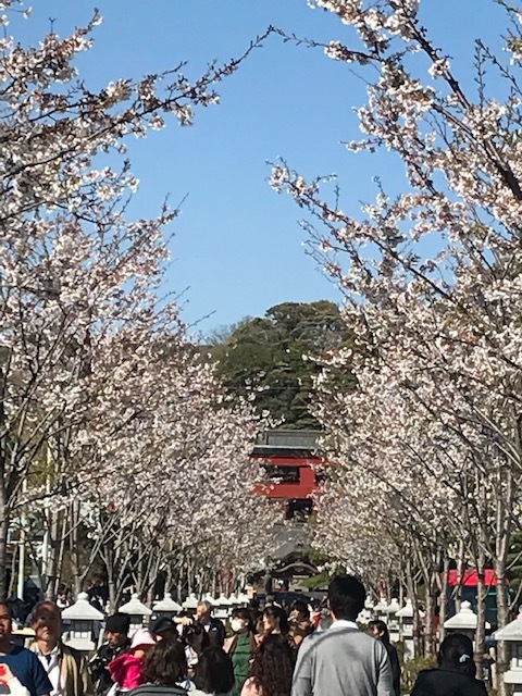 c0343447_20422990.jpg