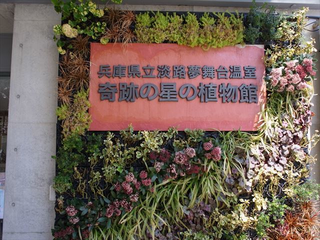 b0069548_21252287.jpg