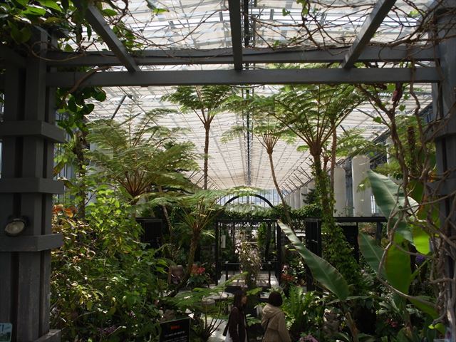 b0069548_21253324.jpg