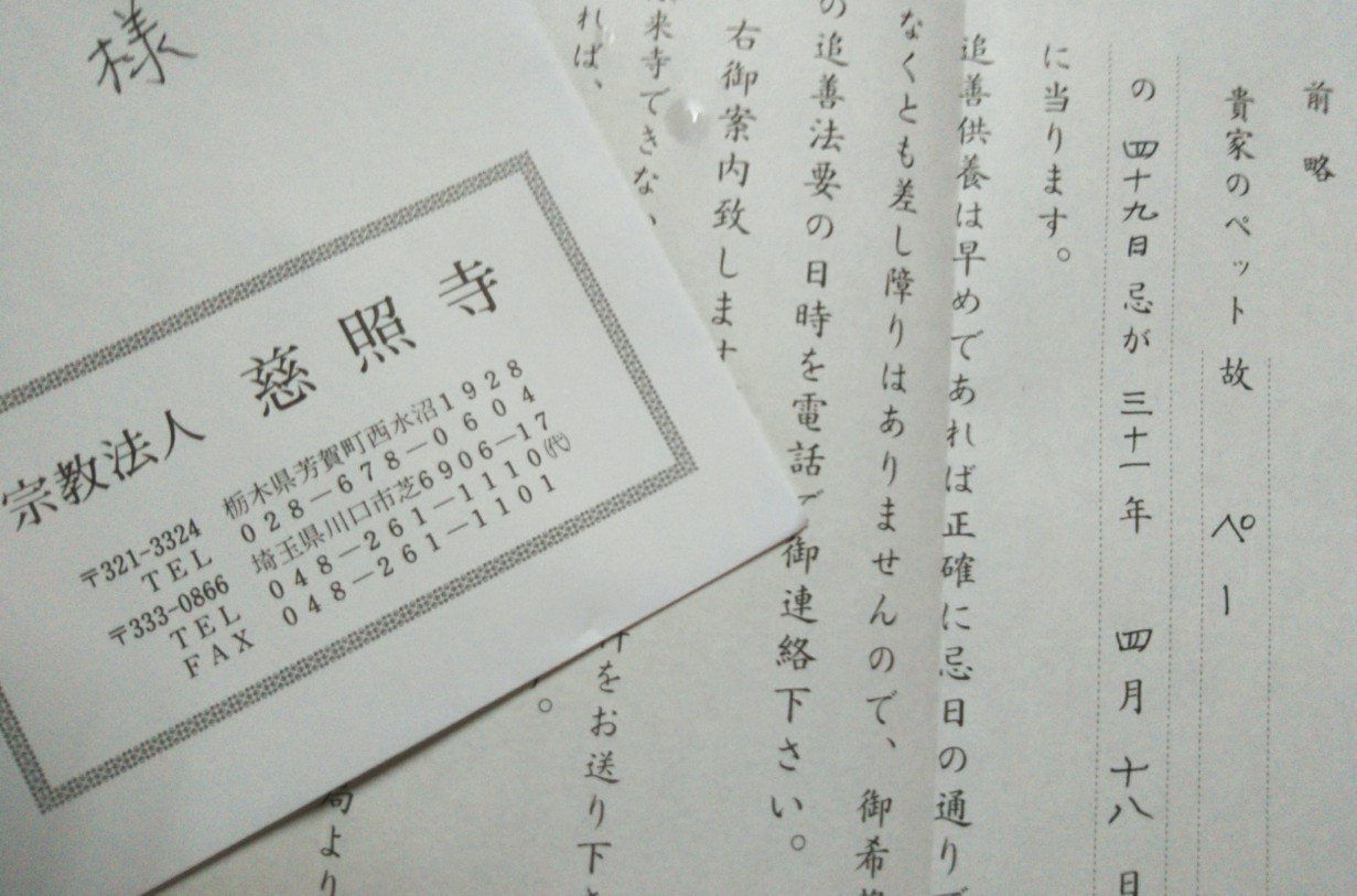 ４９日法要の案内 優記ここあ 宇都宮から あれやこれや I M A Witch