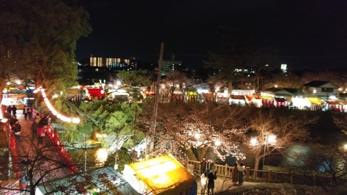 春といえば_f0168650_14272471.jpg