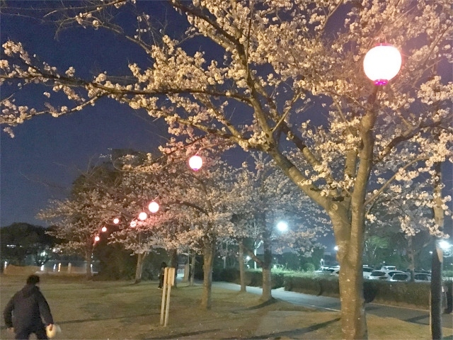 H31.4/6(土) かみす桜まつりイベント開催!_f0229750_16034391.jpg