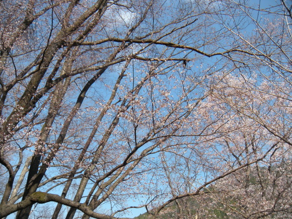 f0342250_00161308.jpg