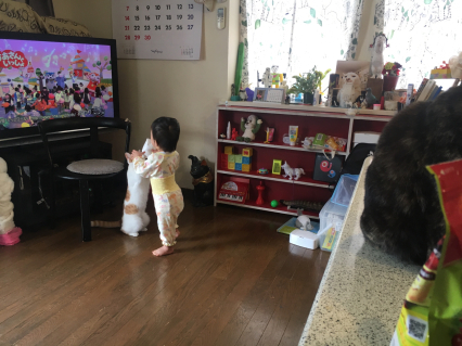 おいなりちゃんとビニール袋_a0028451_19123867.jpg