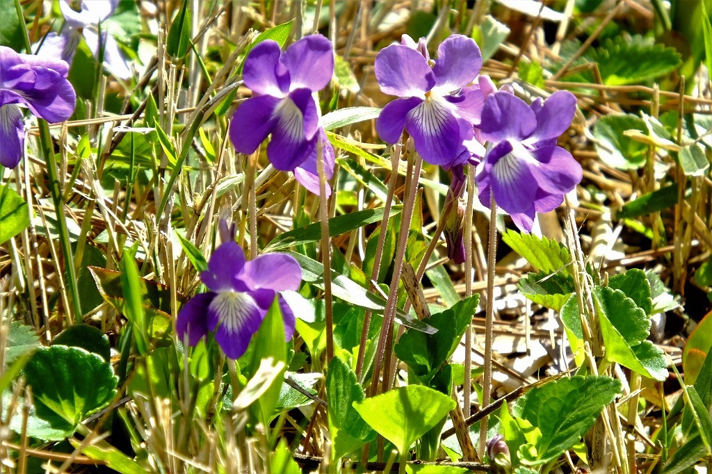 b0236251_14105458.jpg